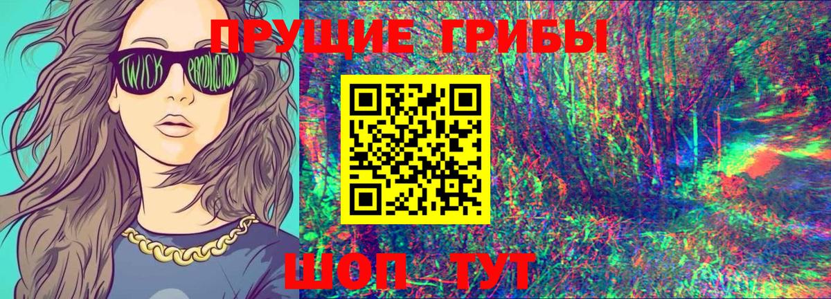 Псилоцибиновые грибы Psilocybine cubensis Куйбышев