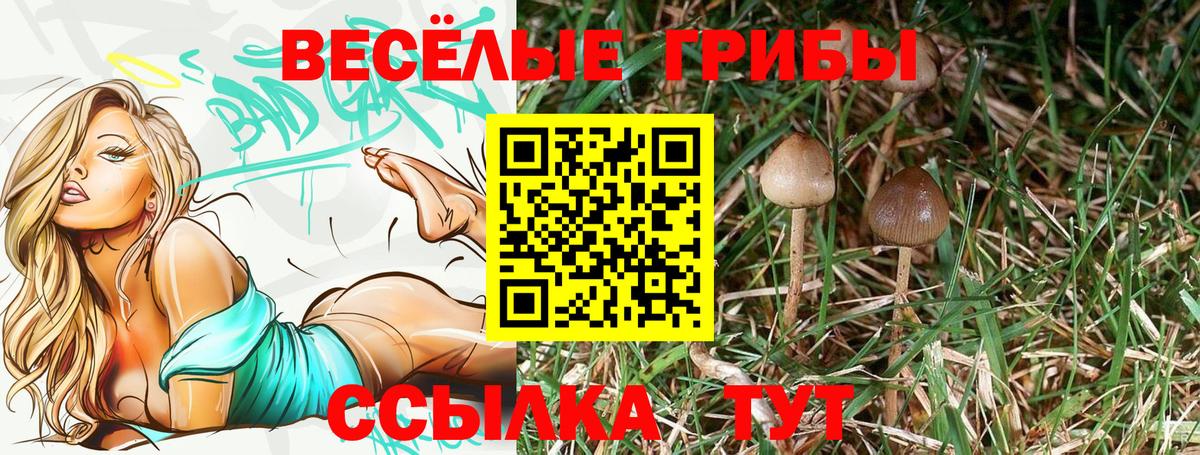 Псилоцибиновые грибы Psilocybine cubensis  Вход с VPN  Куйбышев 